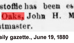 Daily gazette., June 19, 1880a
