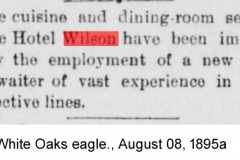 The White Oaks eagle., August 08, 1895