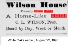 White Oaks eagle., August 22, 1895