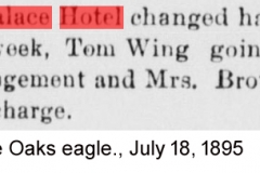 White Oaks eagle., July 18, 1895