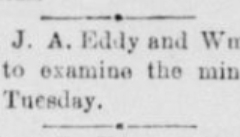 White Oaks eagle., August 29, 1895, Image 4