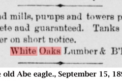 The-old-Abe-eagle.-September-15-1892