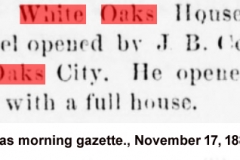 Las Vegas morning gazette., November 17, 1880