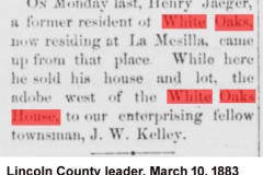 Lincoln County leader. [volume], March 10, 1883