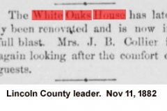 Lincoln County leader. [volume], November 11, 1882