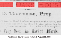 The Lincoln County leader. [volume], August 08, 1885