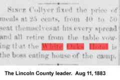 The Lincoln County leader. [volume], August 11, 1883