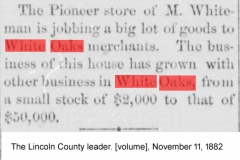 The Lincoln County leader. [volume], November 11, 1882, Image 3