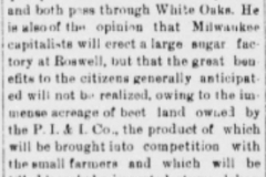 White Oaks eagle., February 25, 1897, Image 3