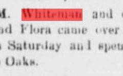 White Oaks eagle., May 21, 1896, Image 4