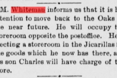 White Oaks eagle., September 26, 1895, Image 4